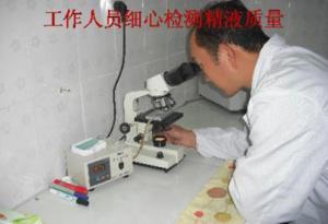 工作人員細心檢測***質(zhì)量
